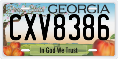 GA license plate CXV8386