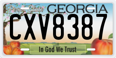 GA license plate CXV8387