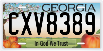 GA license plate CXV8389