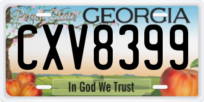 GA license plate CXV8399