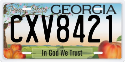 GA license plate CXV8421