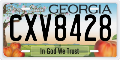 GA license plate CXV8428