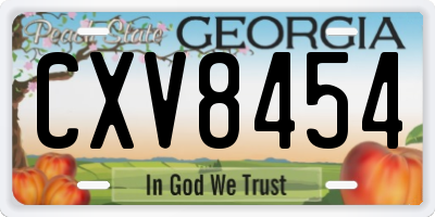 GA license plate CXV8454