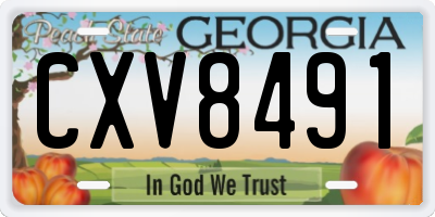GA license plate CXV8491