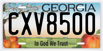GA license plate CXV8500