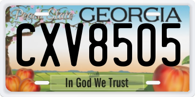 GA license plate CXV8505