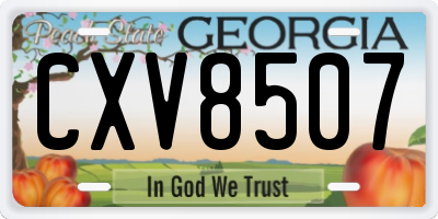 GA license plate CXV8507