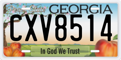 GA license plate CXV8514