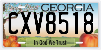 GA license plate CXV8518
