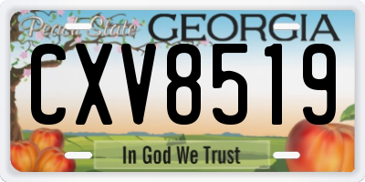 GA license plate CXV8519