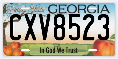 GA license plate CXV8523