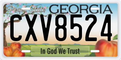 GA license plate CXV8524