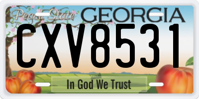 GA license plate CXV8531