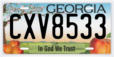 GA license plate CXV8533