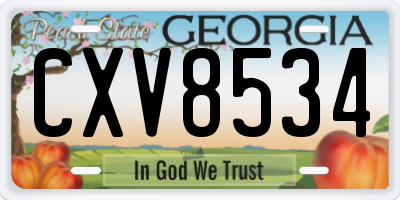 GA license plate CXV8534