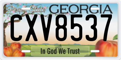 GA license plate CXV8537