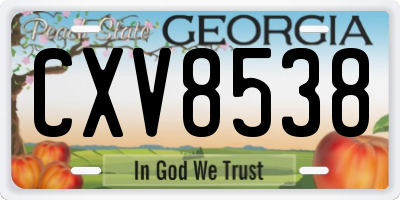 GA license plate CXV8538