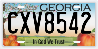 GA license plate CXV8542