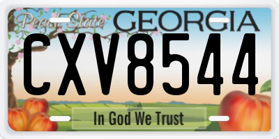 GA license plate CXV8544