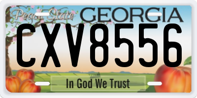 GA license plate CXV8556