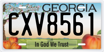 GA license plate CXV8561
