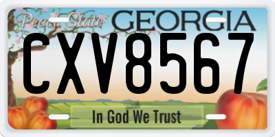GA license plate CXV8567