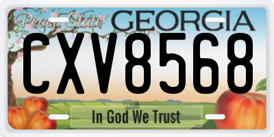 GA license plate CXV8568