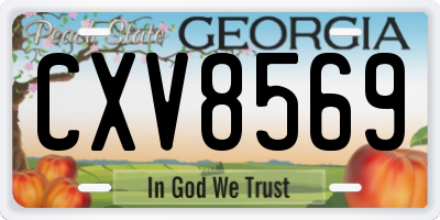 GA license plate CXV8569