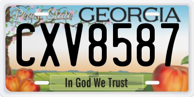 GA license plate CXV8587