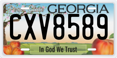 GA license plate CXV8589