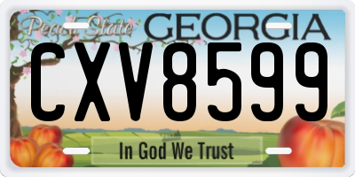 GA license plate CXV8599