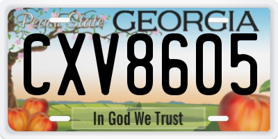GA license plate CXV8605