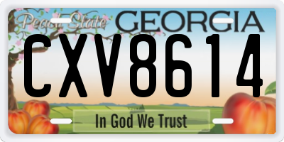 GA license plate CXV8614