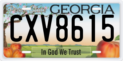 GA license plate CXV8615