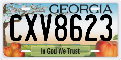 GA license plate CXV8623