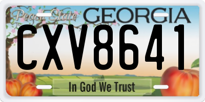GA license plate CXV8641