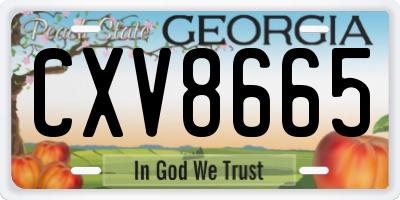 GA license plate CXV8665