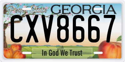 GA license plate CXV8667