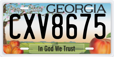 GA license plate CXV8675