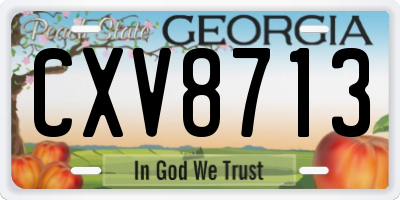 GA license plate CXV8713