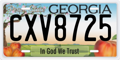 GA license plate CXV8725