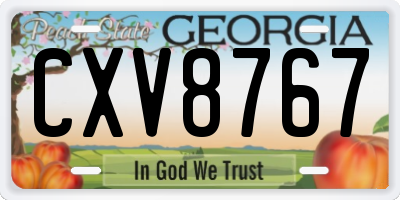 GA license plate CXV8767