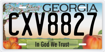 GA license plate CXV8827