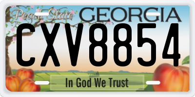 GA license plate CXV8854
