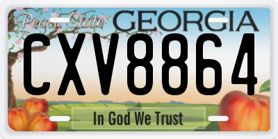 GA license plate CXV8864