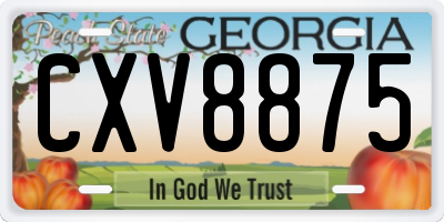 GA license plate CXV8875