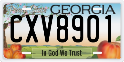 GA license plate CXV8901