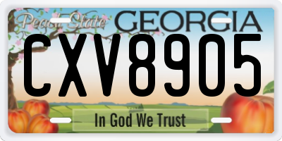 GA license plate CXV8905