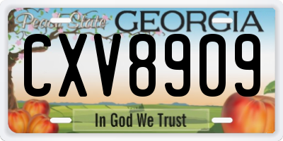GA license plate CXV8909