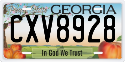 GA license plate CXV8928